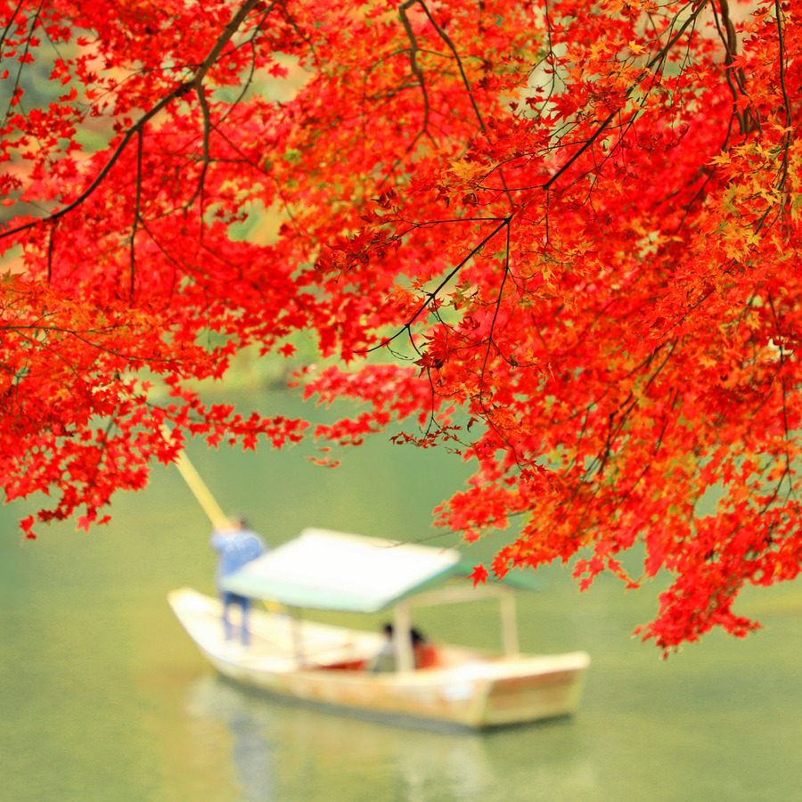 紅葉滿關西・盛楓情釀古京都 7日